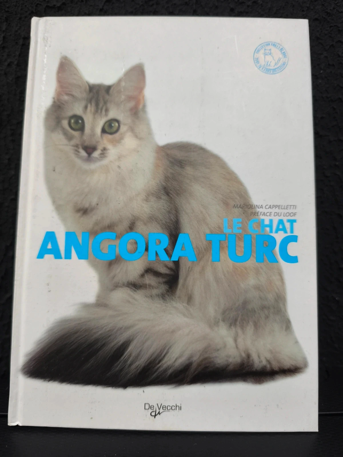 Le chat angora turc